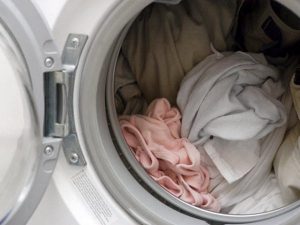 laundry-for-bed-bugs