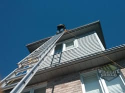 wildlife-removal-from-roof