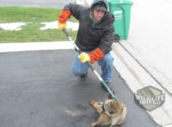 wildlife removal technician