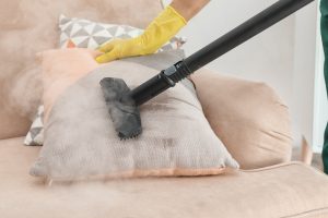 Does Steam Kill Bed Bugs