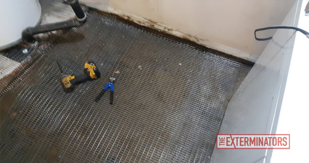 Mesh Exclusion Basement Floor