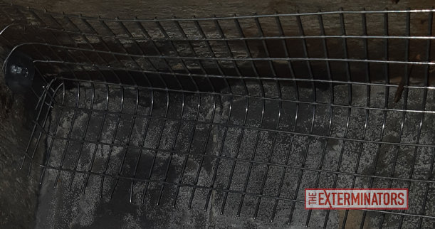 Steel Mesh Rodent Exclusion