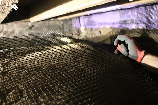 Rat Infestation in Cold Cellar in Old Toronto